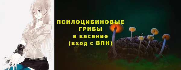 сатива Верхнеуральск