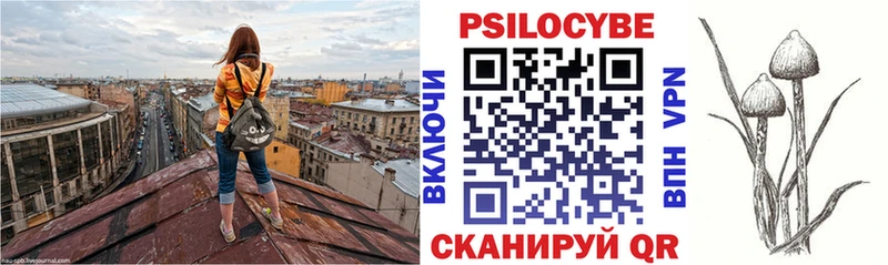 Галлюциногенные грибы Psilocybine cubensis  купить наркотики цена  Глазов 